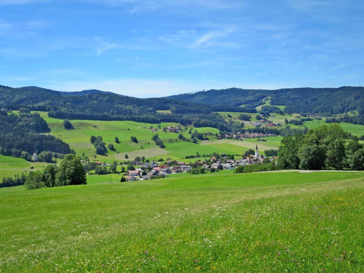Apartment Waldfrieden By Interhome Oberwang