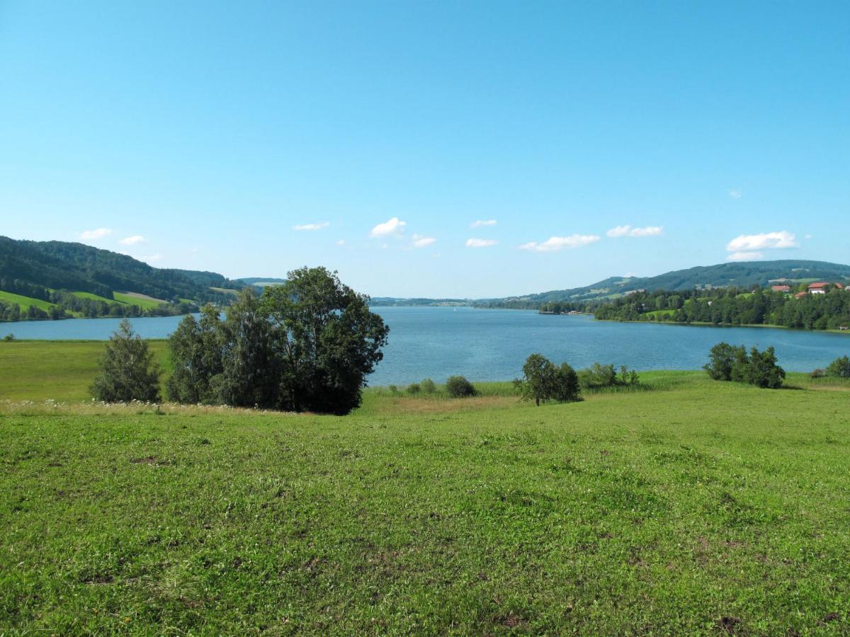 Waldfrieden By Interhome Apartment