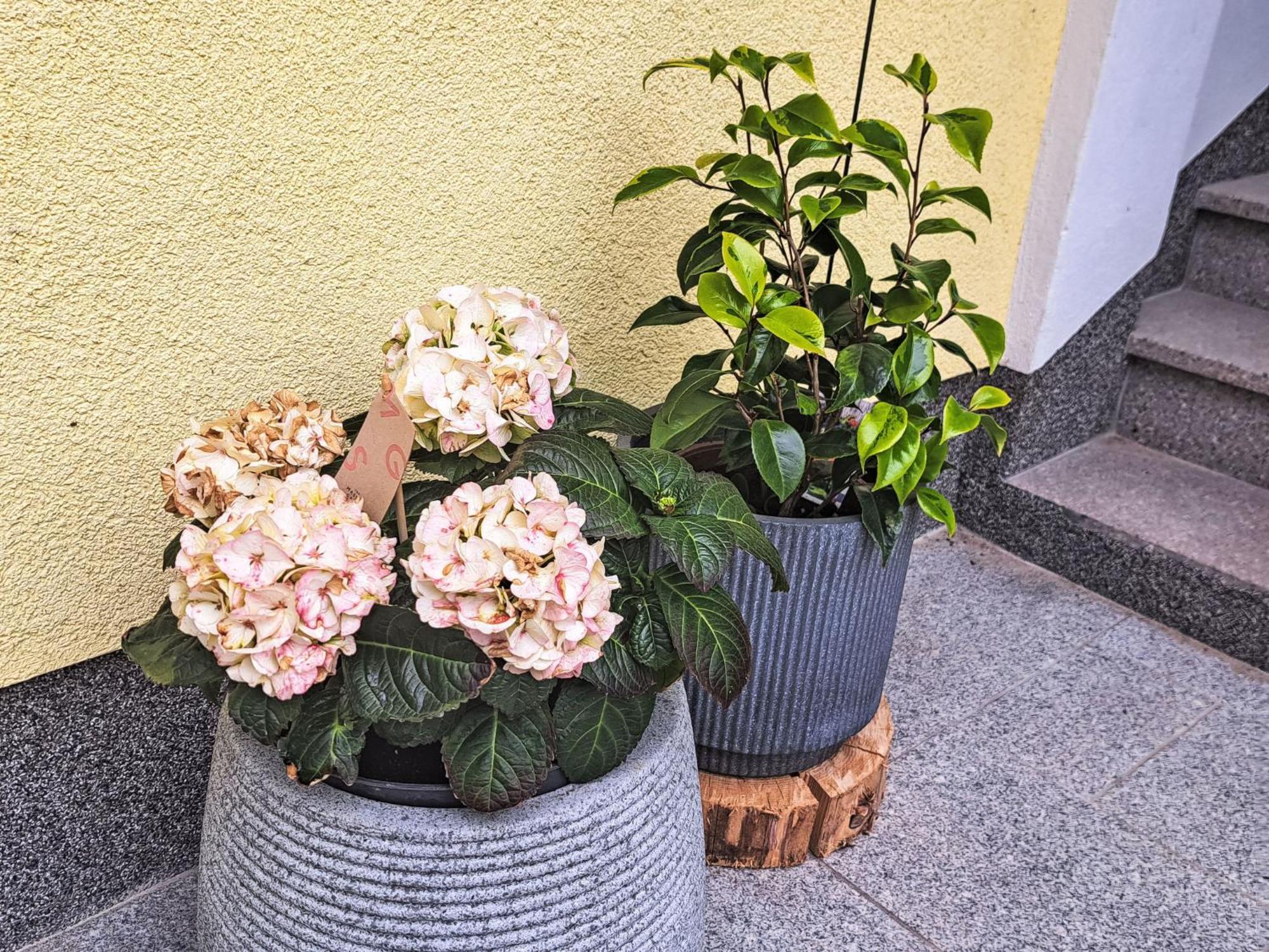 Waldfrieden By Interhome Appartement *